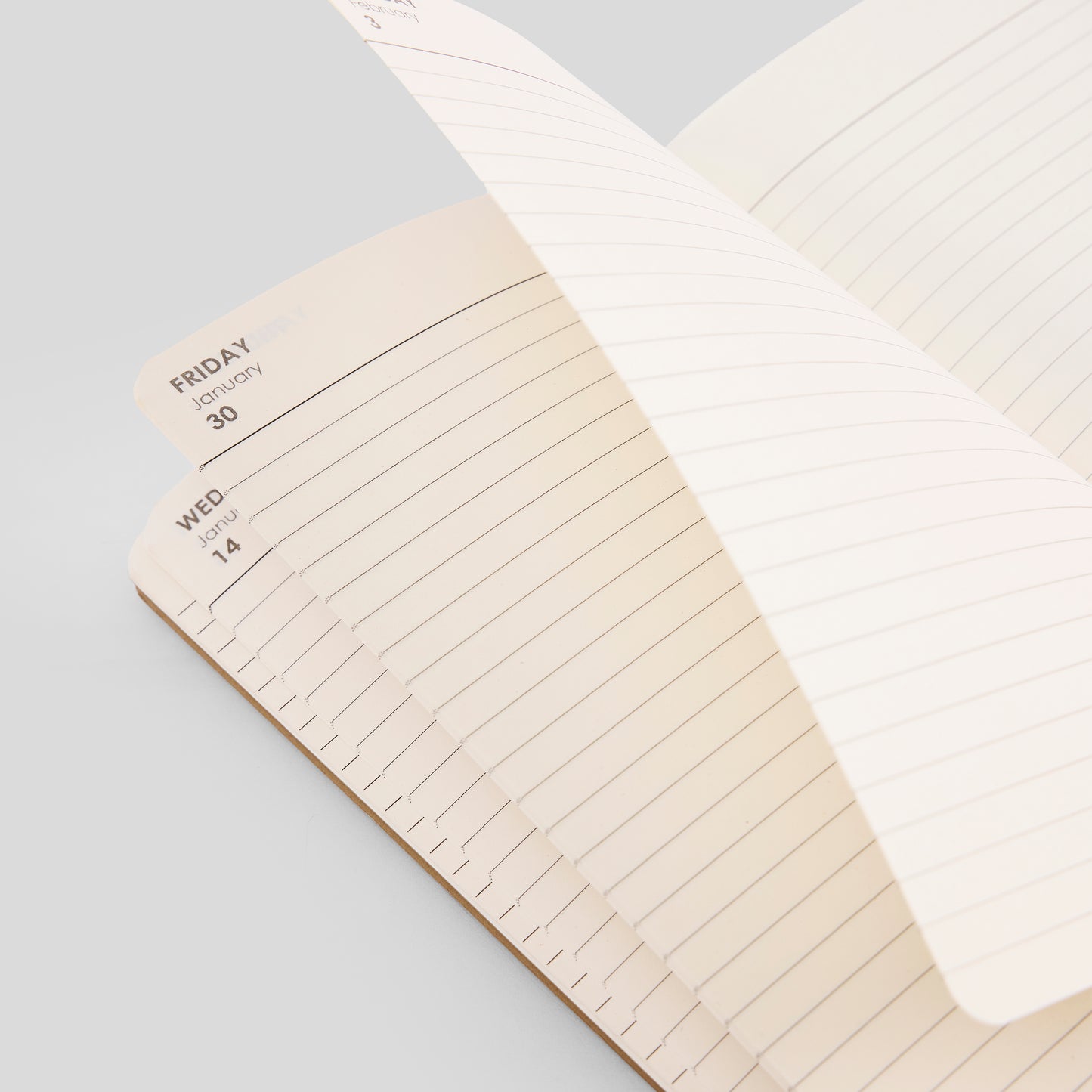 2026 DAILY PLANNER - M1