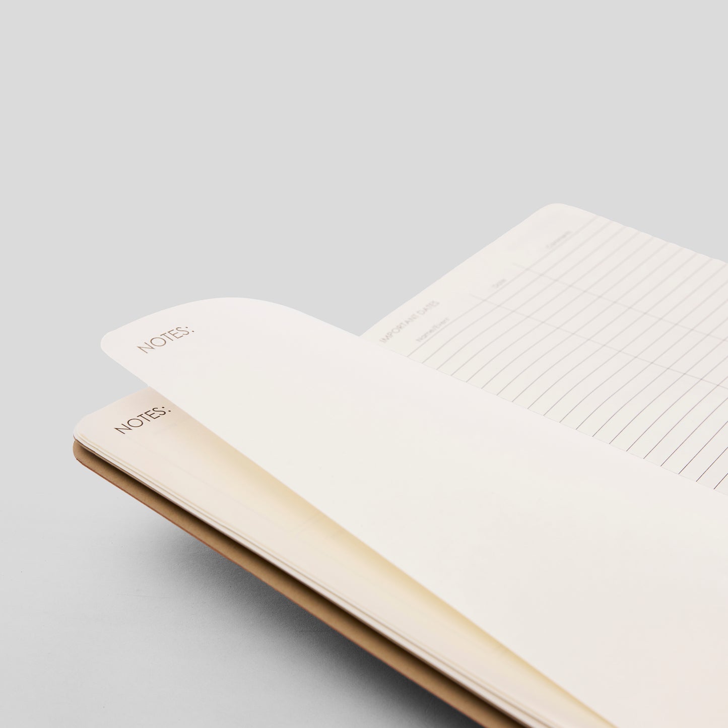 2026 DAILY PLANNER - M2